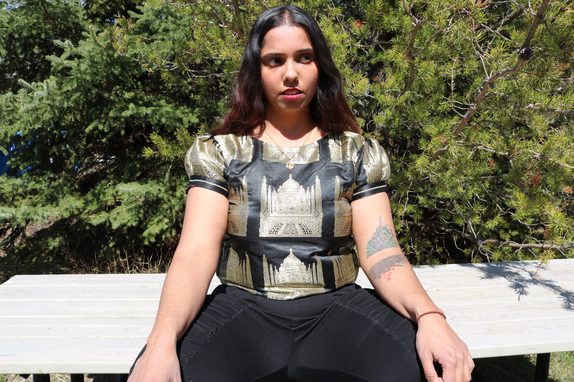 The Taj Mahal Crop Top