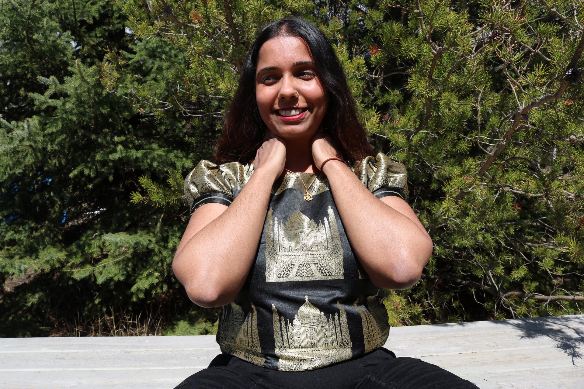 The Taj Mahal Crop Top