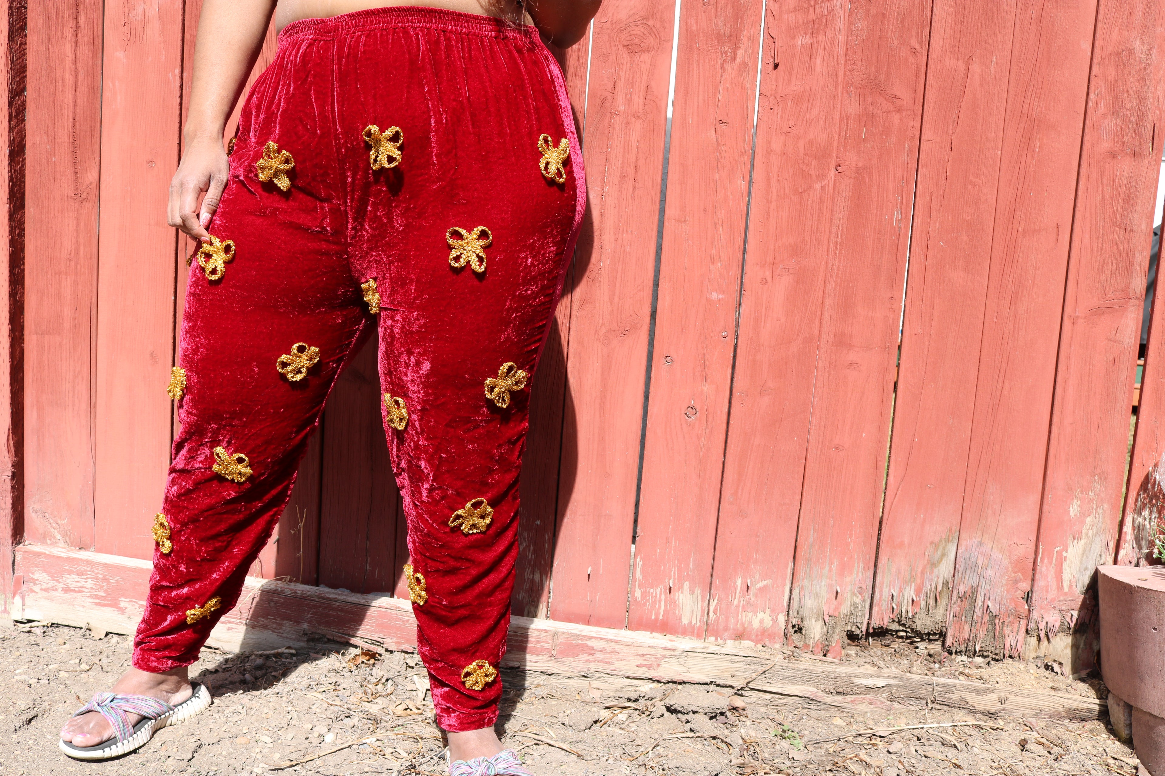 Scarlet Velvet with Gold Flowers Pants