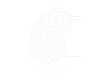 Translation missing: en.Ramya's accessibility.home